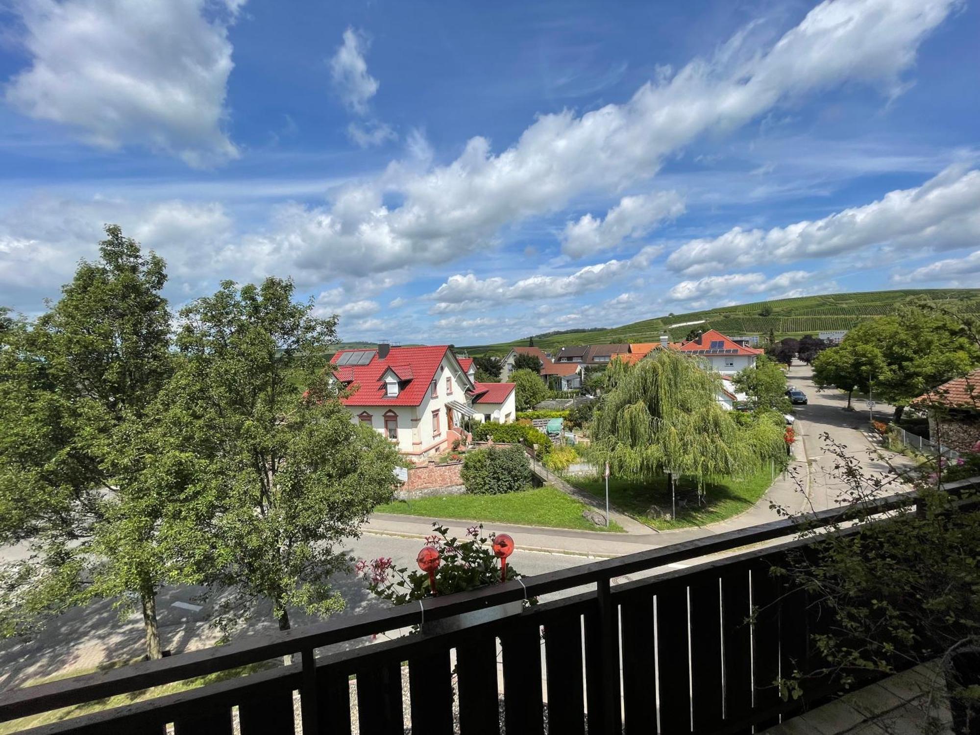 Zum Rayers Cafe-Restaurant & Boutique-Hotel Niederrotweil Dış mekan fotoğraf